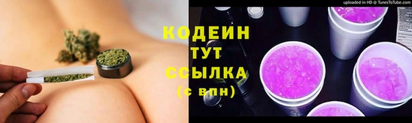 метадон Алексин