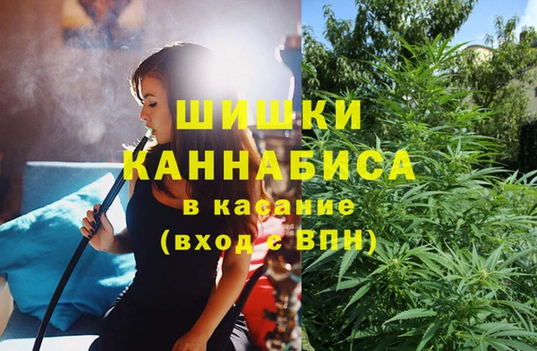 метадон Алексин