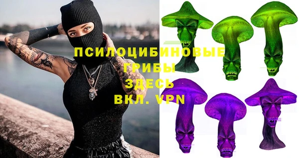 метадон Алексин