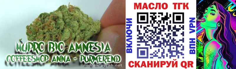 ТГК Wax Стародуб