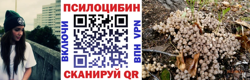 Псилоцибиновые грибы Magic Shrooms Стародуб